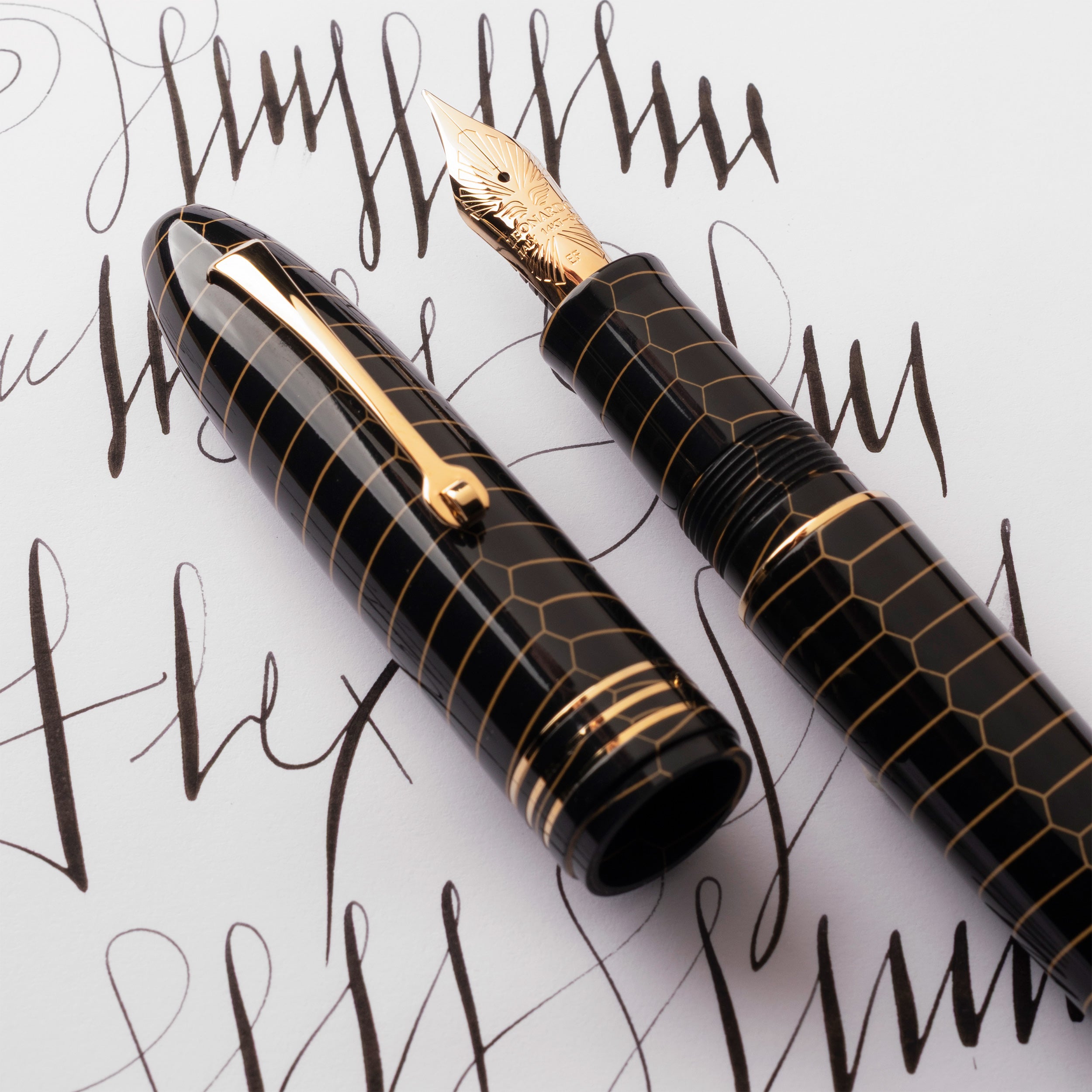 leonardo-officina-italiana-cigar-scheletro-stilografica-ebanite-pennino-oro-fles image 3